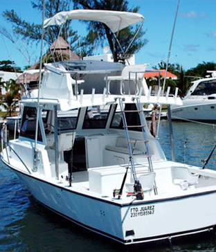 Cancun fishing charters