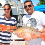 Shark Fishing: A Guide to Species – World Wide Sport Fishing Charters